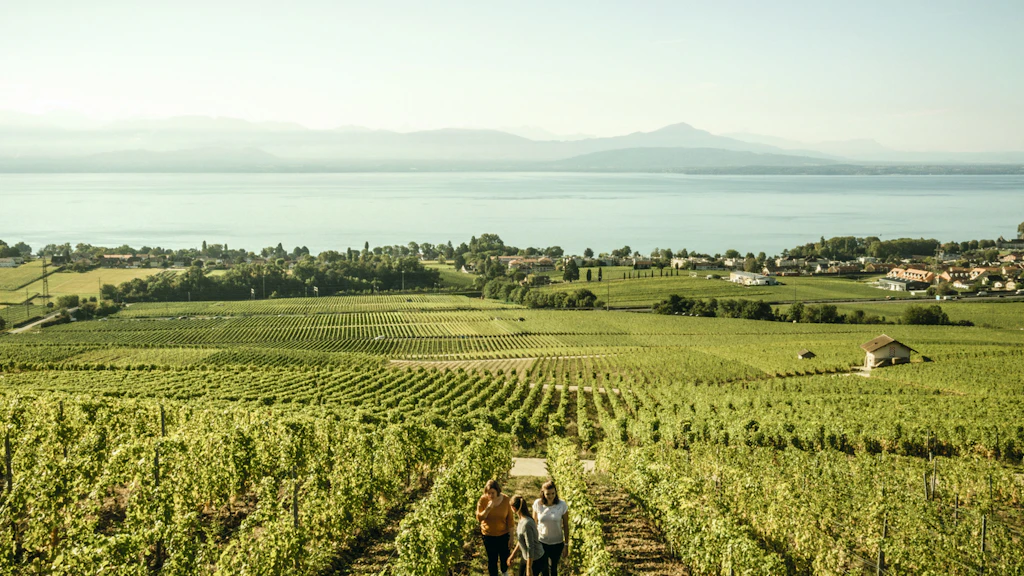 Vignoble Bougy-Villars